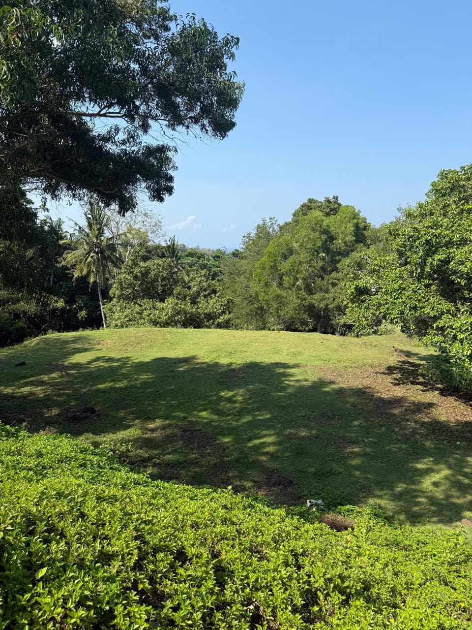 Premium Oceanview Plots