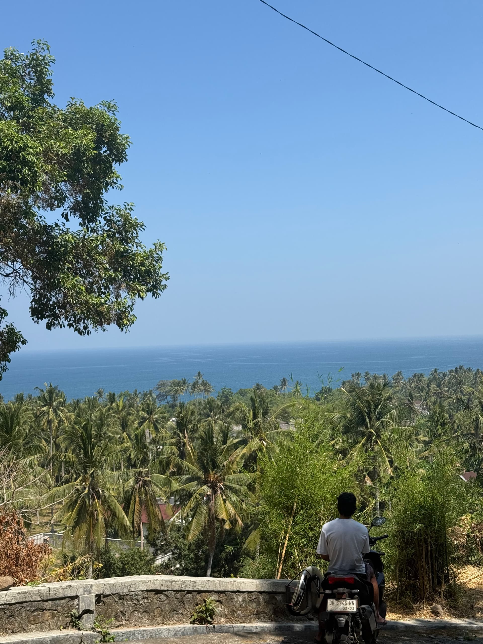 Value Oceanview Plots